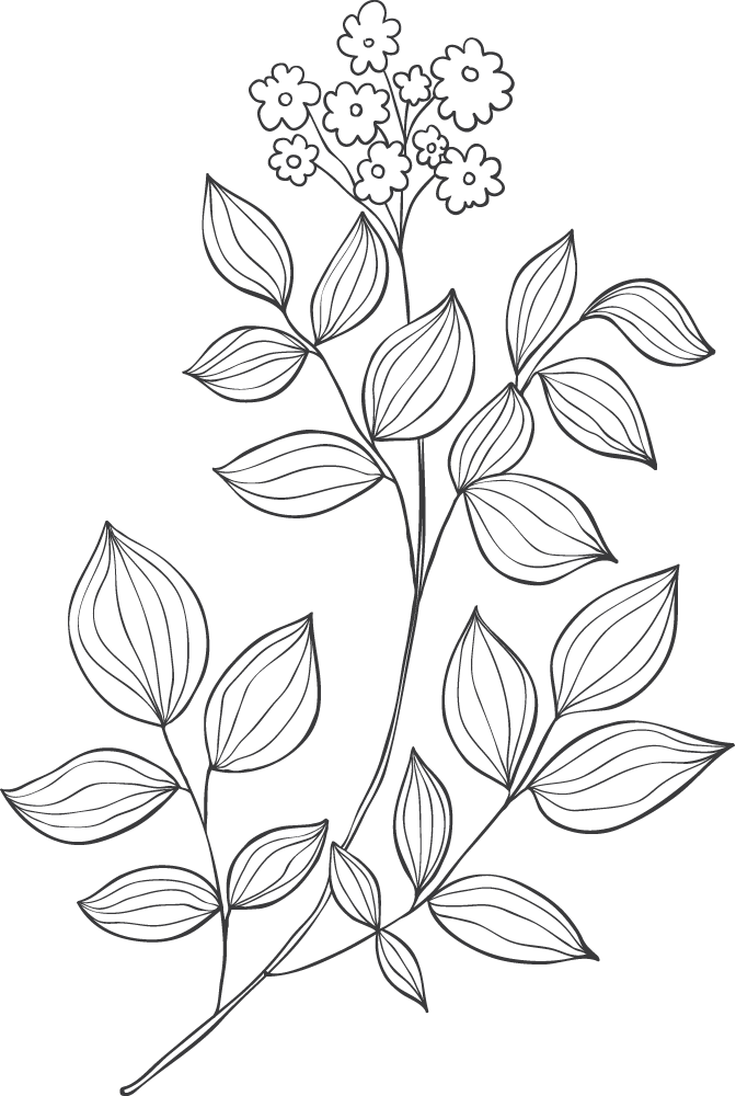 Haare und Makeup in Hamburg und Umgebung - Bild 